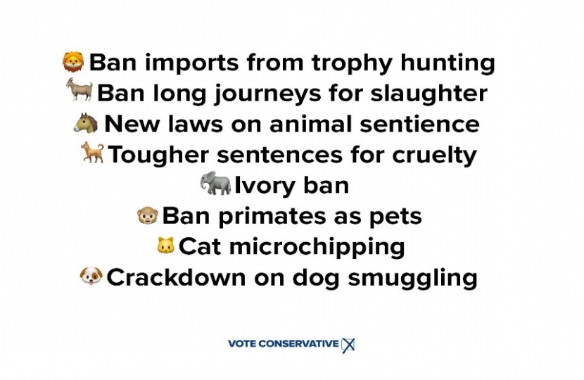 Animal welfare policy 