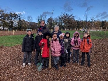 Tree planting in Mill Hill